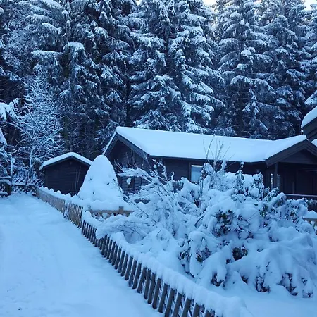 Waldsee-ferienhaus-mit-kamin-w-lan