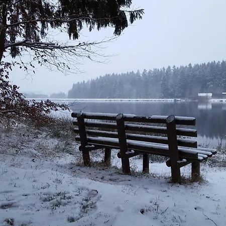 Waldsee-ferienhaus-mit-kamin-w-lan Clausthal-Zellerfeld