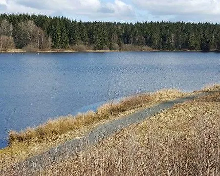 Waldsee-ferienhaus-mit-kamin-w-lan